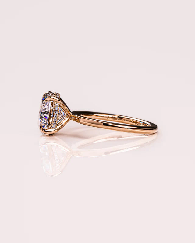 Nova Halo Moissanite Beauty