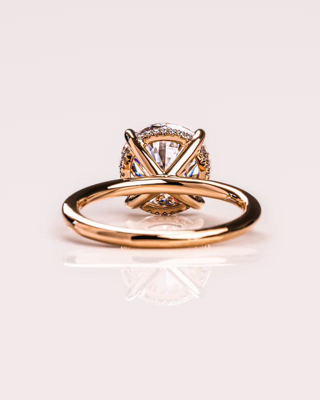 Nova Halo Moissanite Beauty