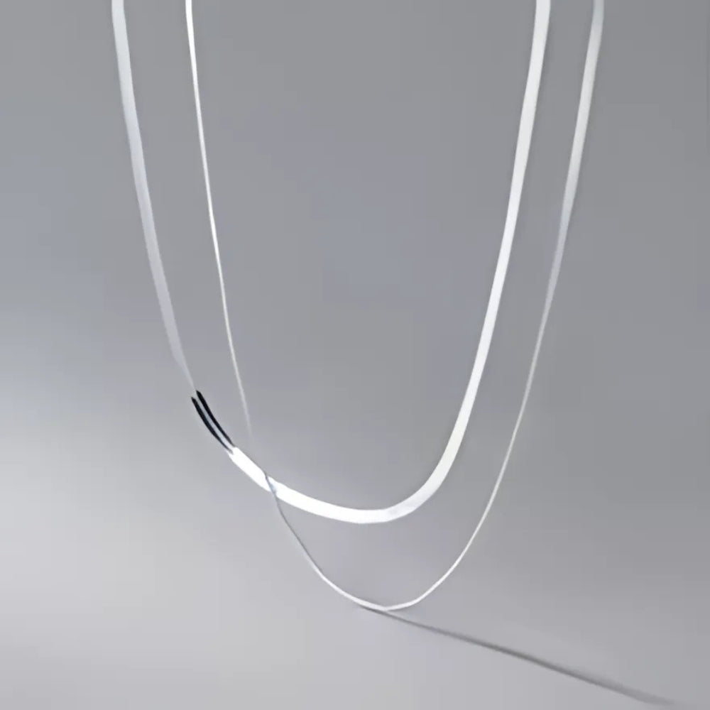Elegant Double Layer Sleek Necklace