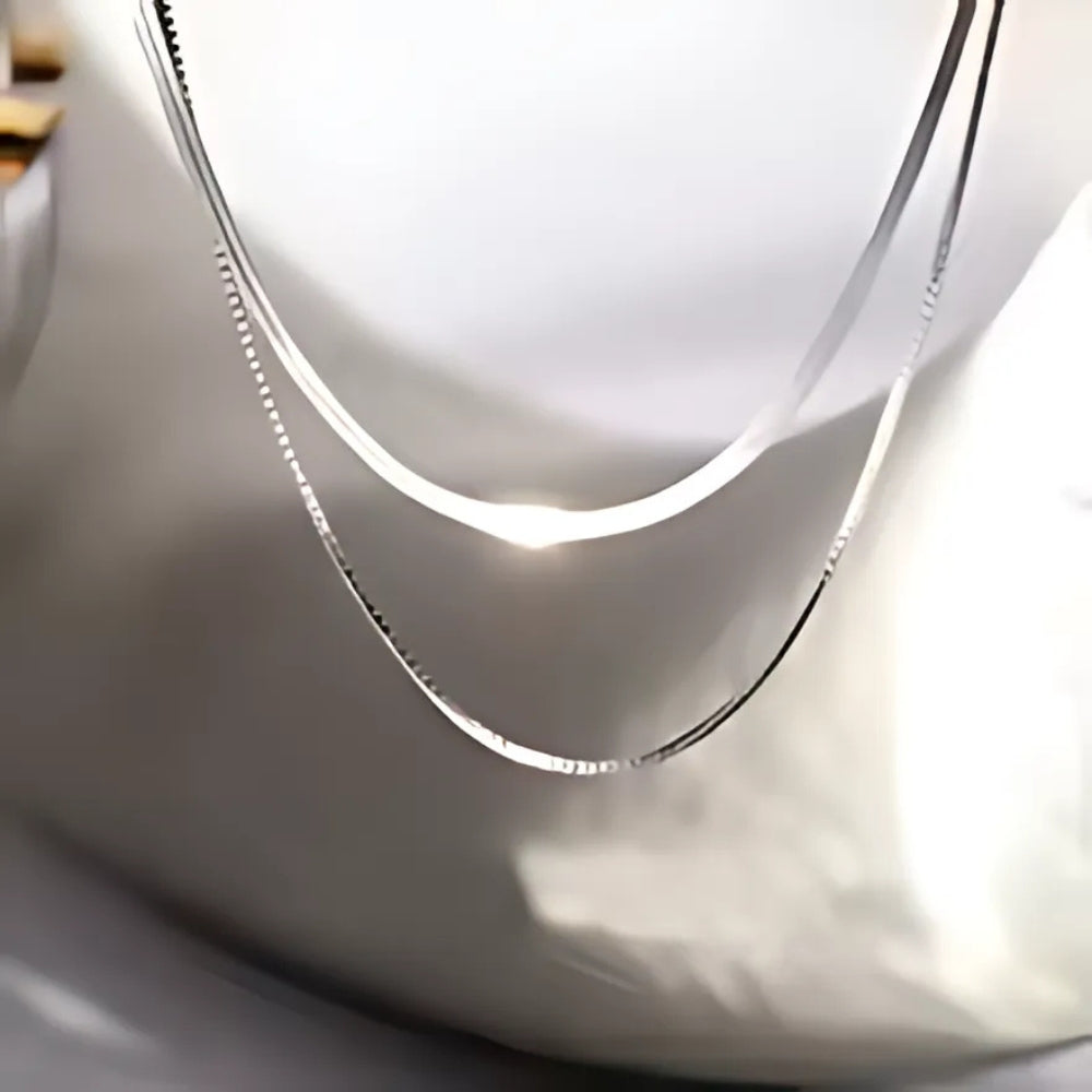 Elegant Double Layer Sleek Necklace